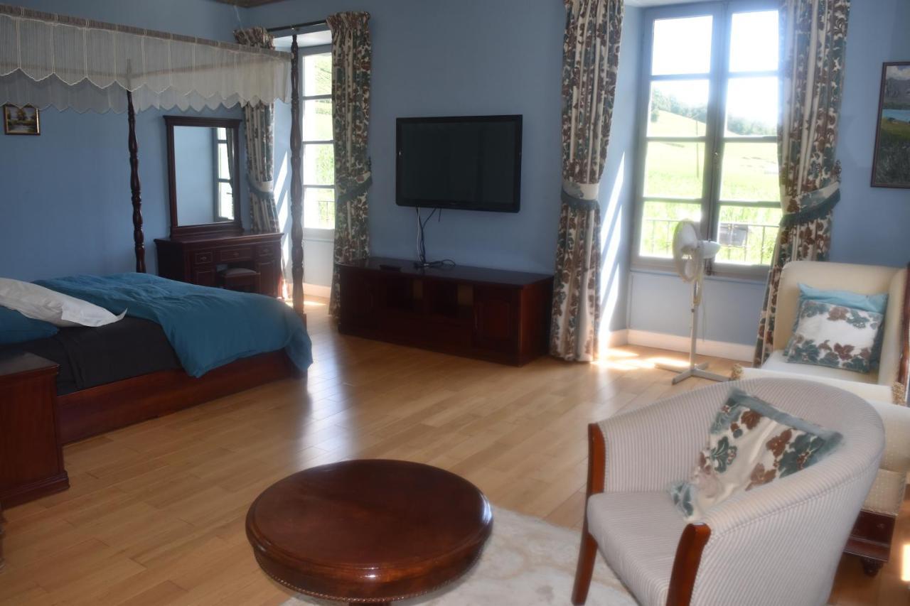 Chateau Roquehort Avec Ev Recharge Point 22Kw Monein Екстер'єр фото