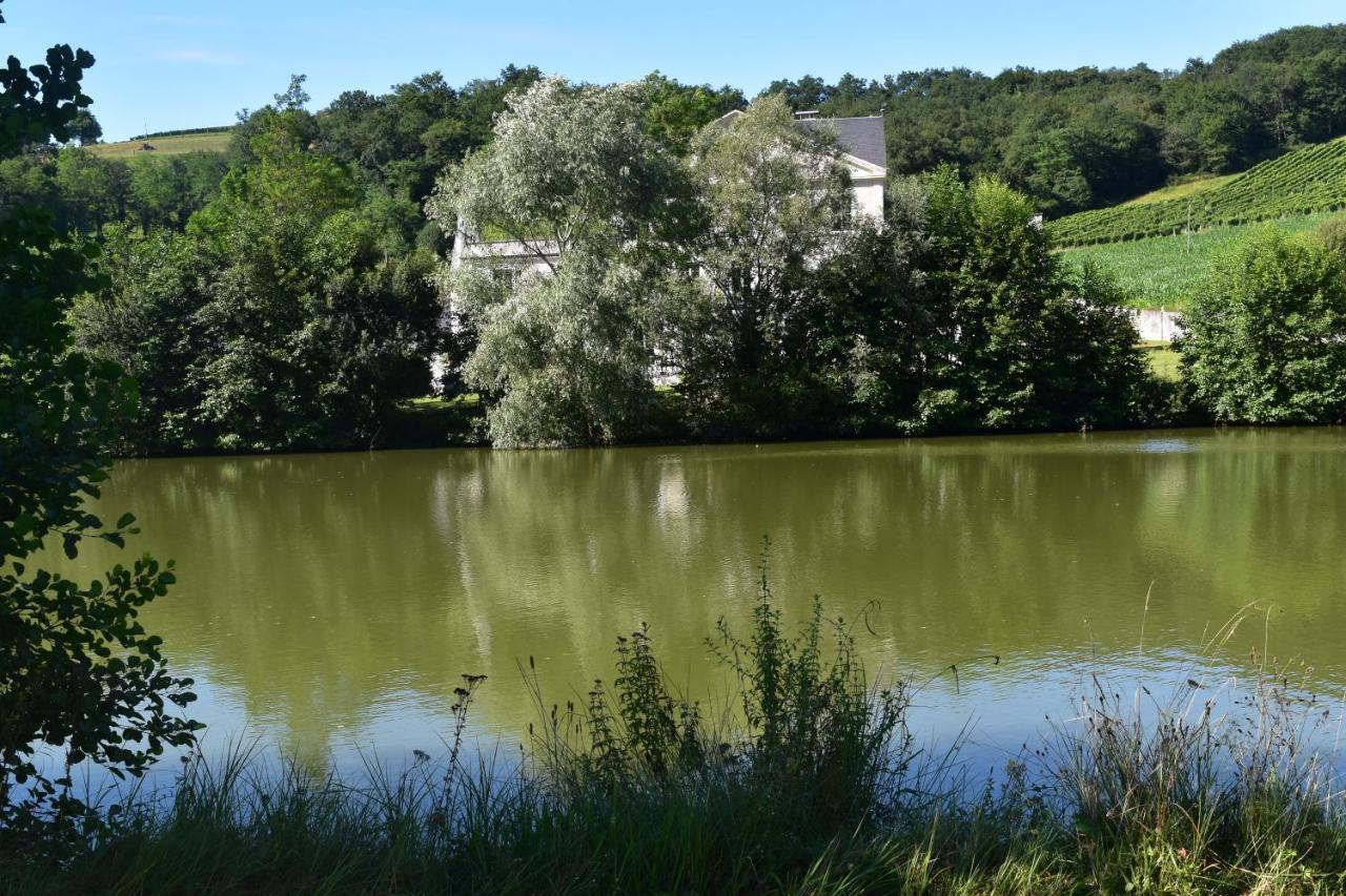 Chateau Roquehort Avec Ev Recharge Point 22Kw Monein Екстер'єр фото