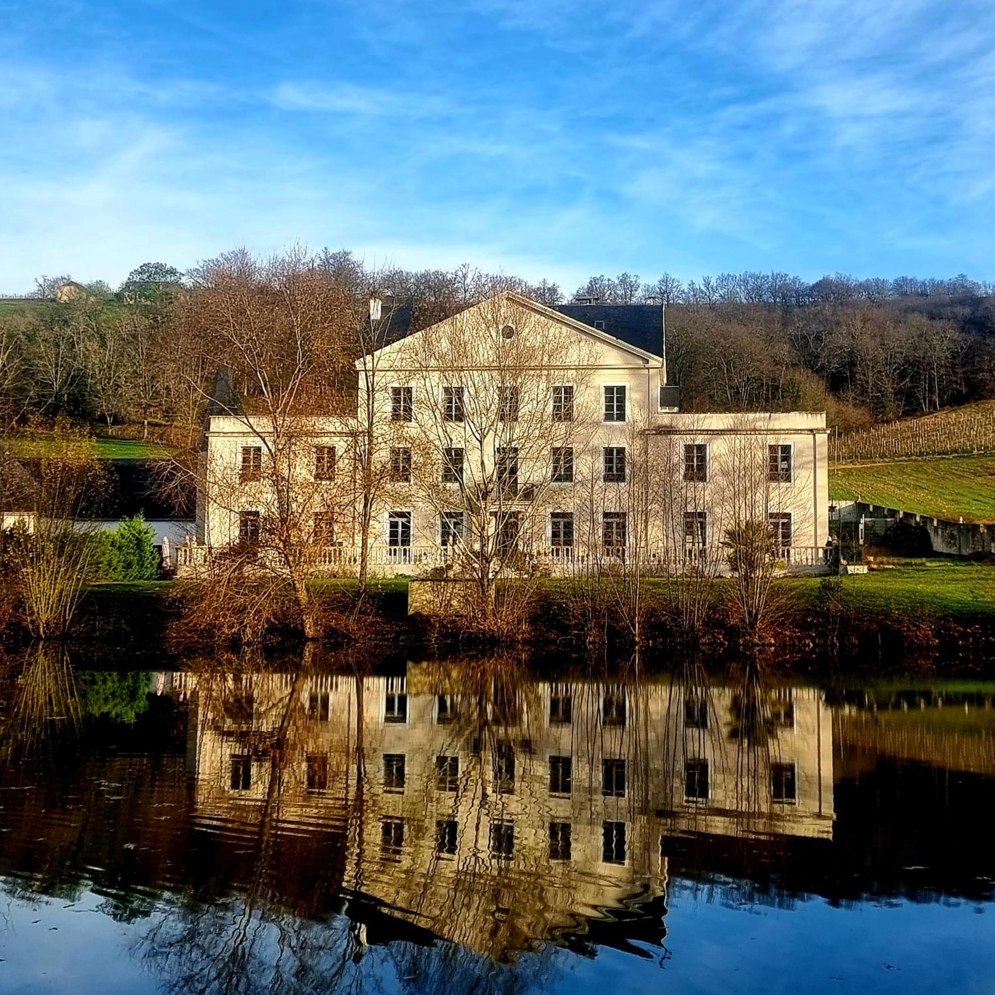 Chateau Roquehort Avec Ev Recharge Point 22Kw Monein Екстер'єр фото